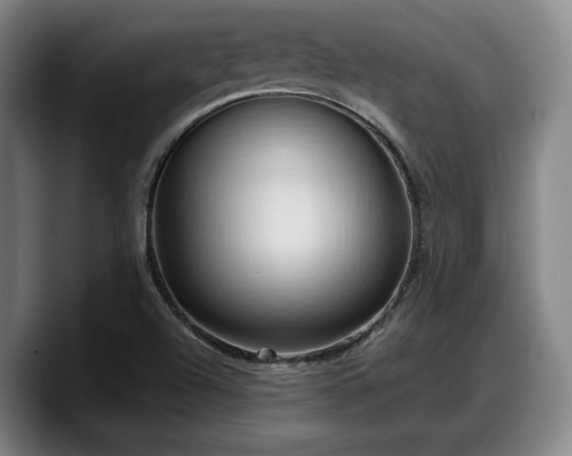 X0000090491504200707201528