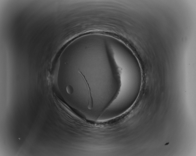 X0000090491505200707201528