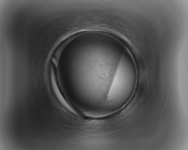X0000090491506200707201528