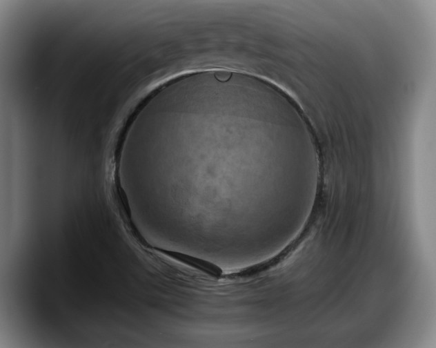 X0000090491507200707201528