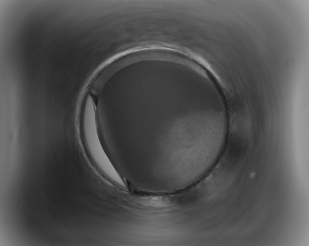 X0000090491508200707201528