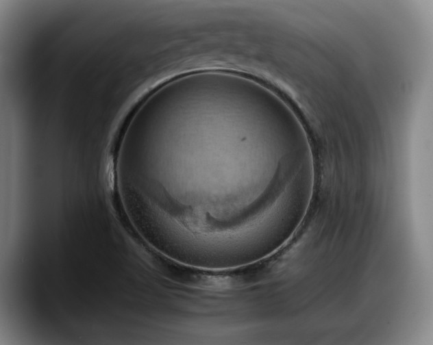X0000090491509200707201528