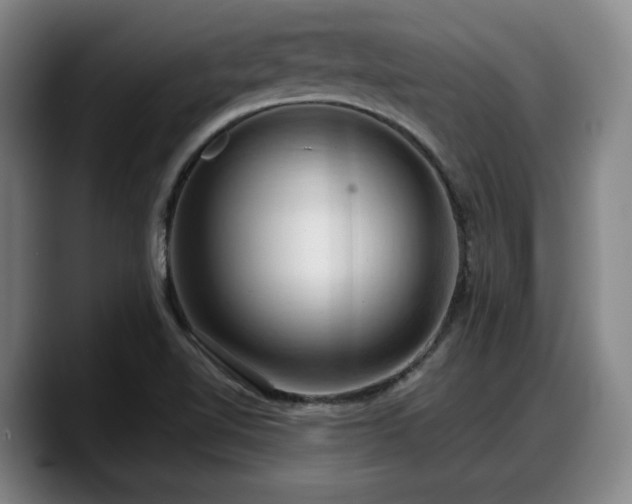 X0000090491510200707201528