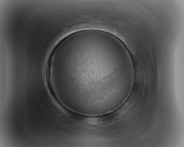X0000090491511200707201528