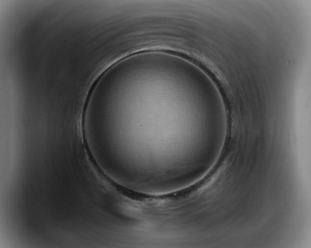 X0000090491513200707201528