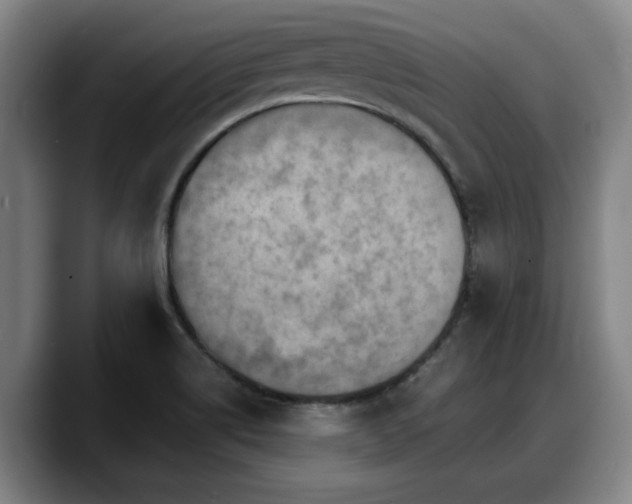 X0000090491514200707201528