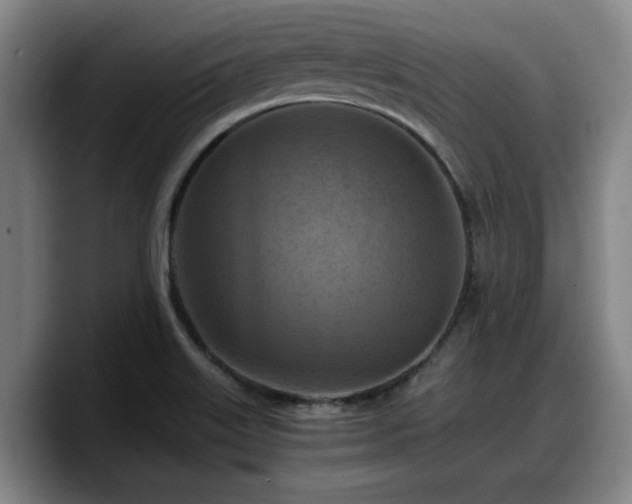 X0000090491515200707201528