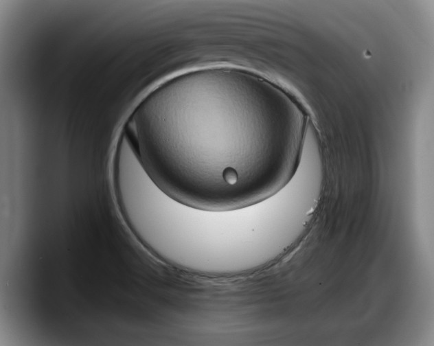 X0000090491516200707201528