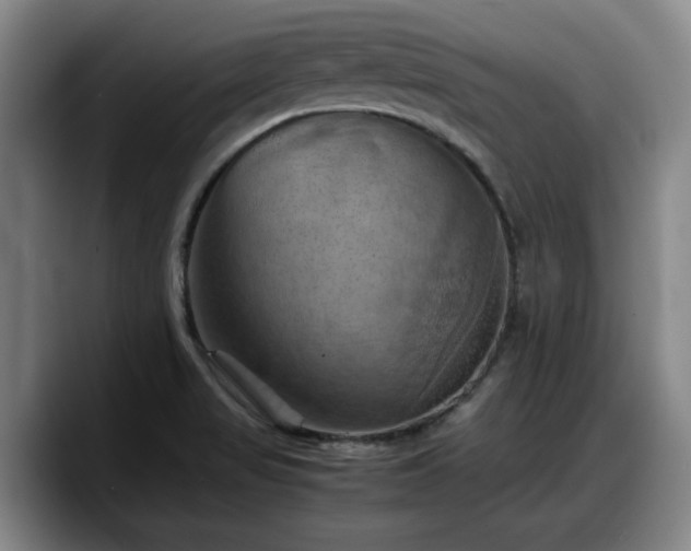 X0000090491517200707201528