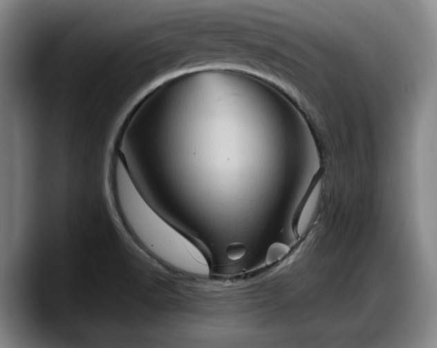 X0000090491518200707201528