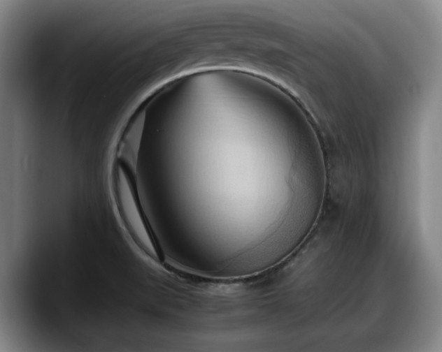 X0000090491519200707201528