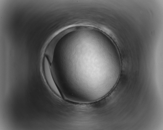 X0000090491520200707201528