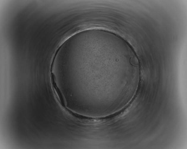 X0000090491521200707201528
