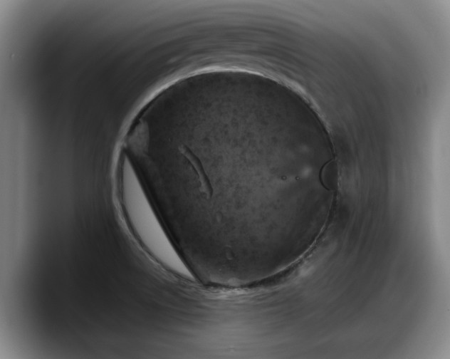 X0000090491522200707201528
