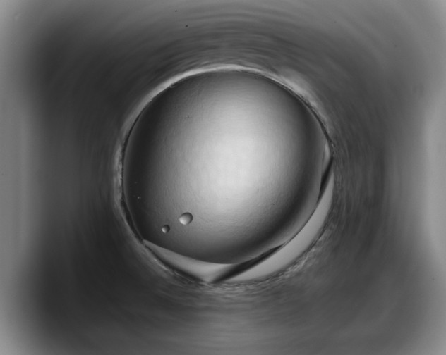 X0000090491524200707201528