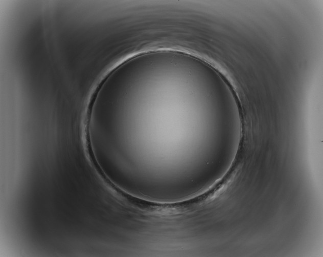 X0000090491525200707201528