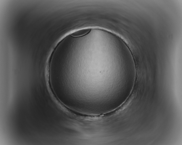 X0000090491526200707201528