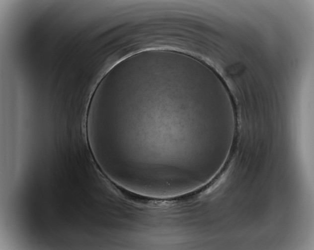 X0000090491529200707201528