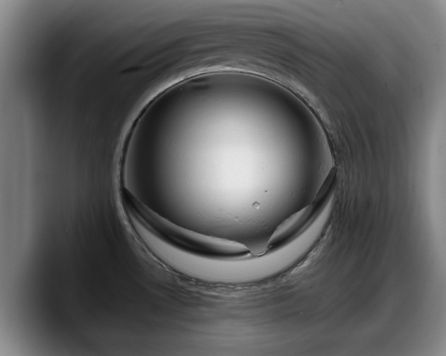 X0000090491530200707201528