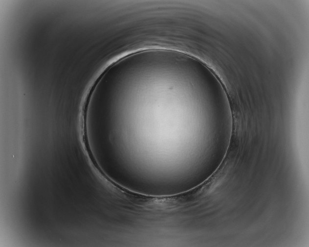 X0000090491531200707201528