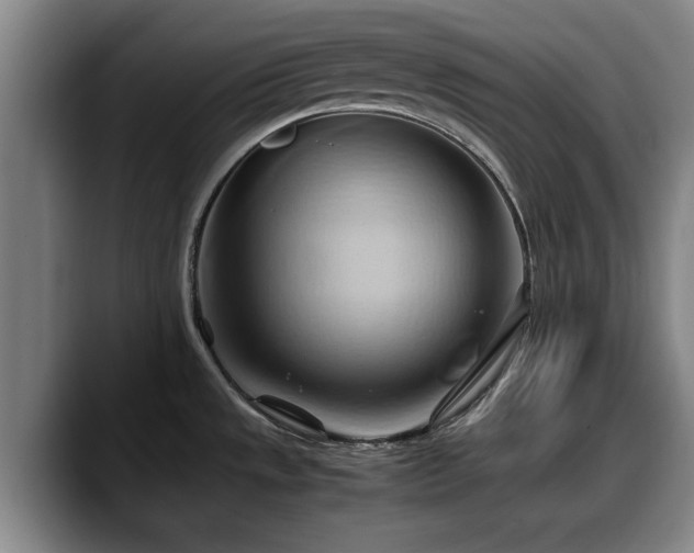 X0000090491533200707201528