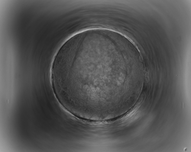 X0000090491535200707201528