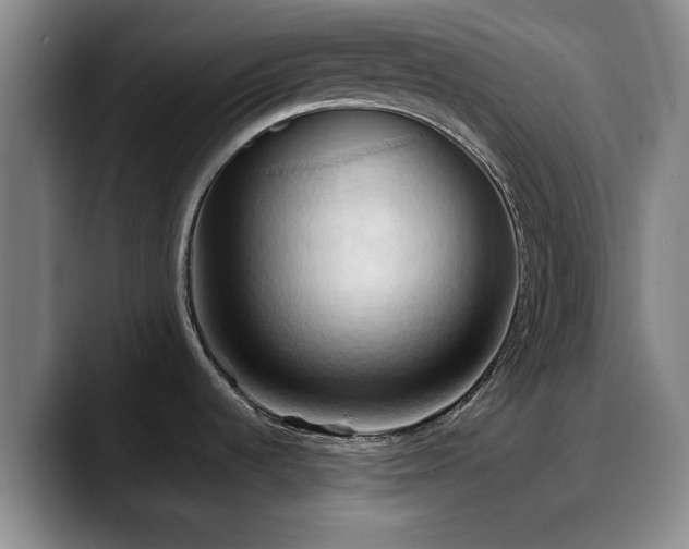 X0000090491536200707201528