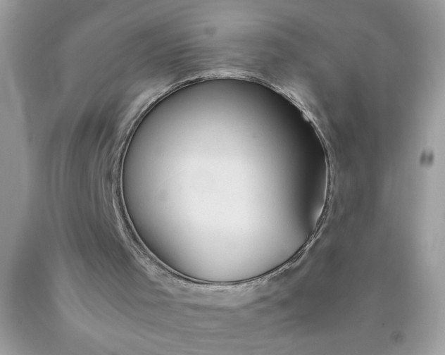 X0000090490001200707272350