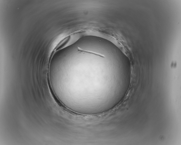 X0000090490003200707272350