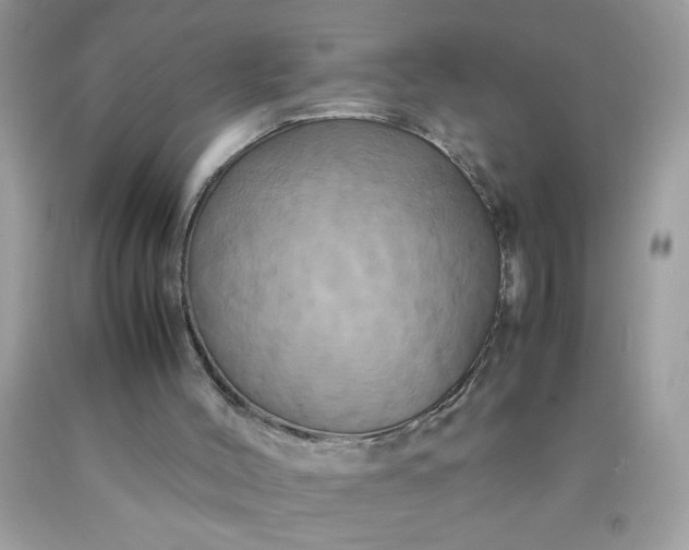 X0000090490004200707272350