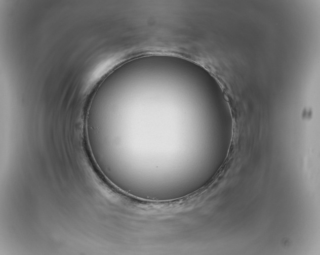 X0000090490005200707272350