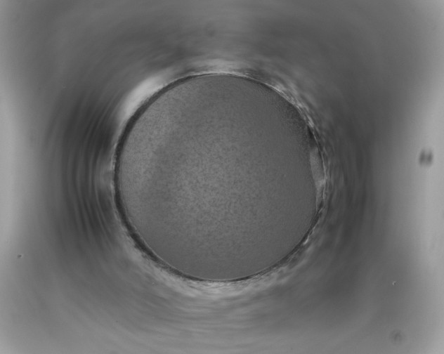 X0000090490006200707272350
