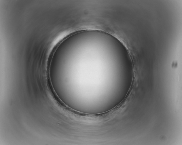 X0000090490008200707272350