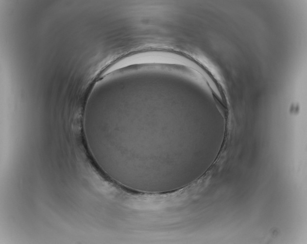 X0000090490009200707272350