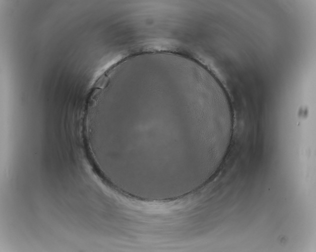 X0000090490010200707272350