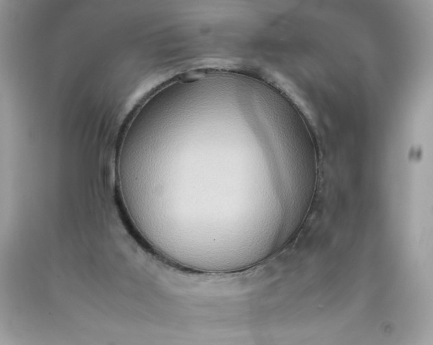 X0000090490011200707272350