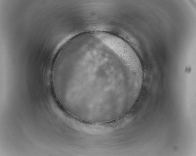 X0000090490012200707272350