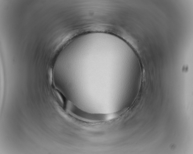 X0000090490013200707272350