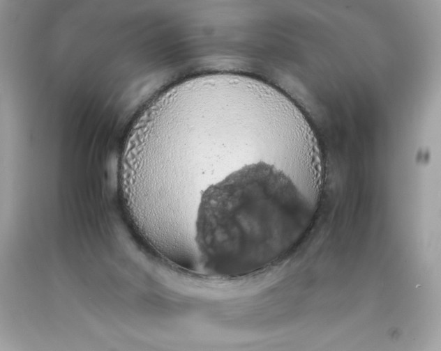 X0000090490014200707272350