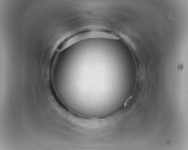 X0000090490015200707272350