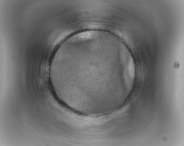 X0000090490016200707272350