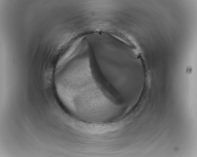 X0000090490018200707272350