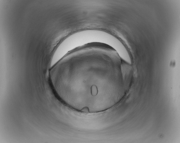 X0000090490019200707272350