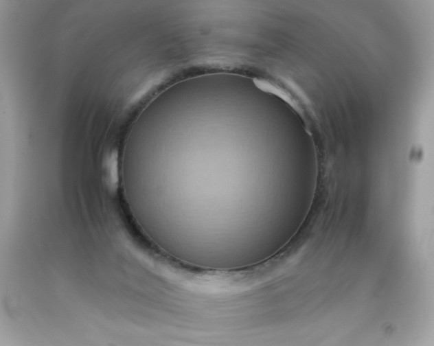 X0000090490020200707272350