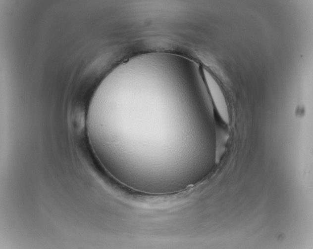 X0000090490021200707272350