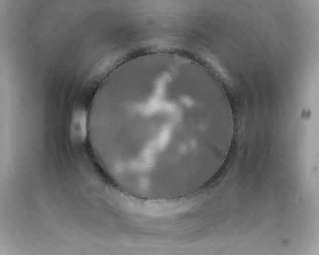 X0000090490022200707272350
