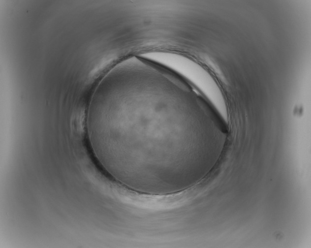 X0000090490023200707272350