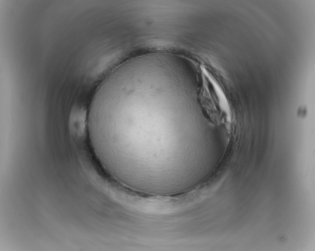 X0000090490024200707272350