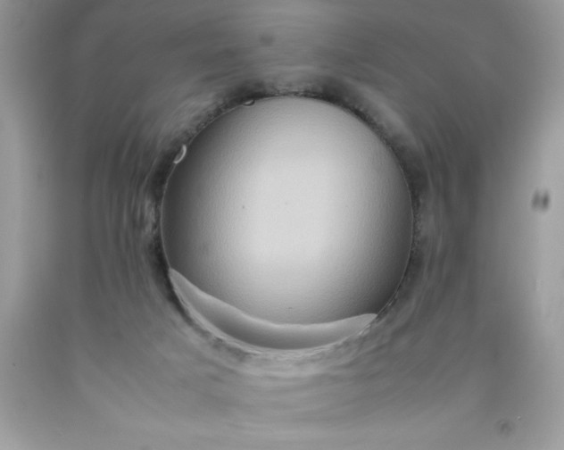 X0000090490025200707272350
