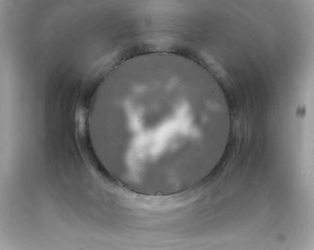X0000090490026200707272350